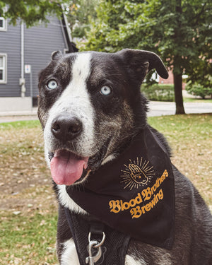 DOGGO BANDANNA
