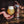 EARLIGLOW • 473 ML TALL CAN