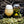 WITCH'S HAIR - 473 mL TALL CAN