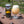 PARADISE LOST - GUAVA PINEAPPLE • 473 ML TALL CAN