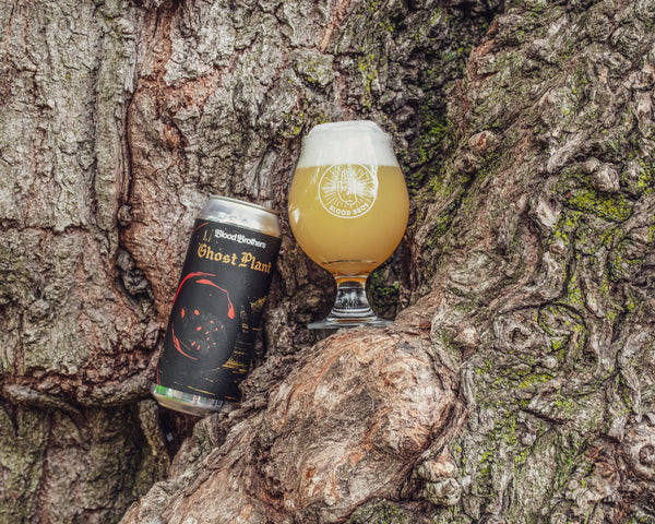 GHOST PLANT - 473 ML TALL CAN
