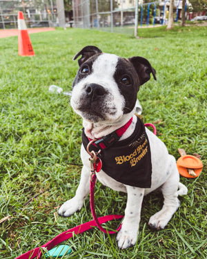 DOGGO BANDANNA