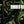 CUNNING OF HAND 12 • 473 ML TALL CAN