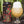 EARLIGLOW • 473 ML TALL CAN